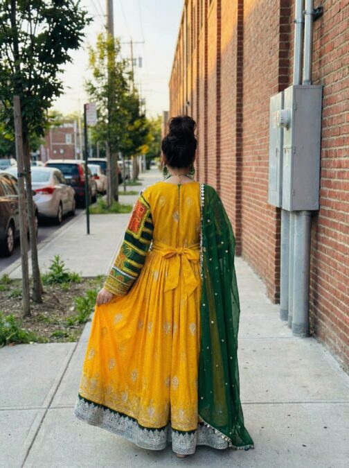 Gul-e-Zard